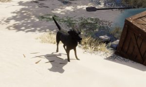 Divinity Original Sin 2: Find Emmy Quest Guide and Buddy's Key