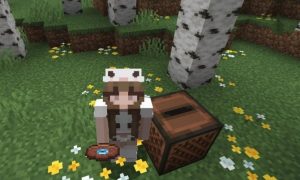 Minecraft Player: What It Is and How to Create One